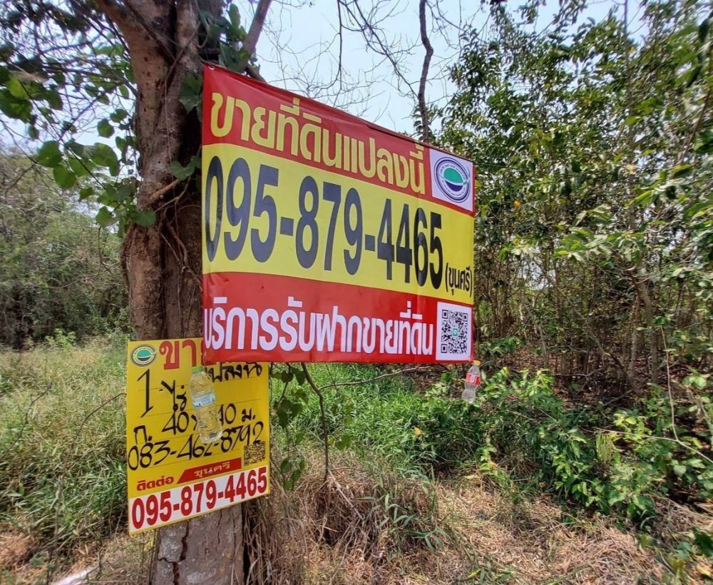 ขายที่ดิน - ขายด่วนที่ดิน 1 ไร่ (2 โฉนด) ซ.อ่วมอ่อง 3 ต. หนองเพรางาย