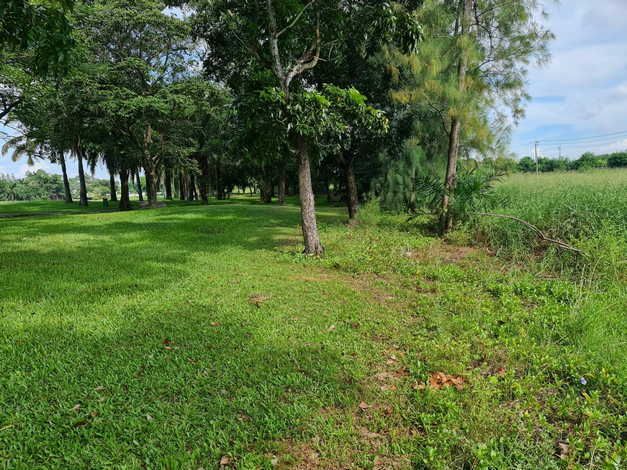 ขายที่ดิน - ขายที่ดินในสนามกอล์ฟวินด์เซอร์ปาร์ค เขตหนองจอก กรุงเทพมหานคร