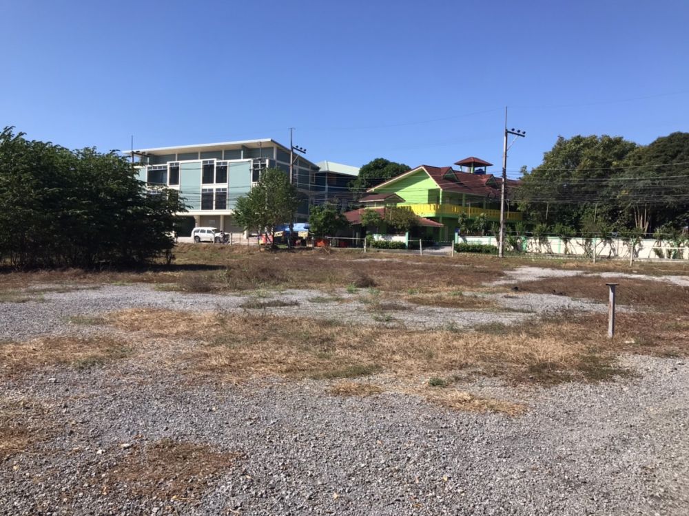 ขายที่ดิน - ขายที่ดินเปล่า ตำบลนาเกลือ อำเภอบางละมุง ชลบุรี