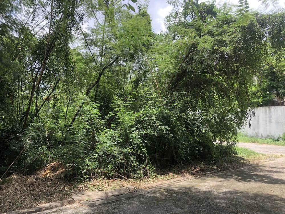 ขายที่ดิน - ที่ดินเปล่าถมแล้ว 256 ตร.ว ในซอยรามอินทรา 39 แยก 15 ทำเลเด่น ใกล้รถไฟฟ้าฯ