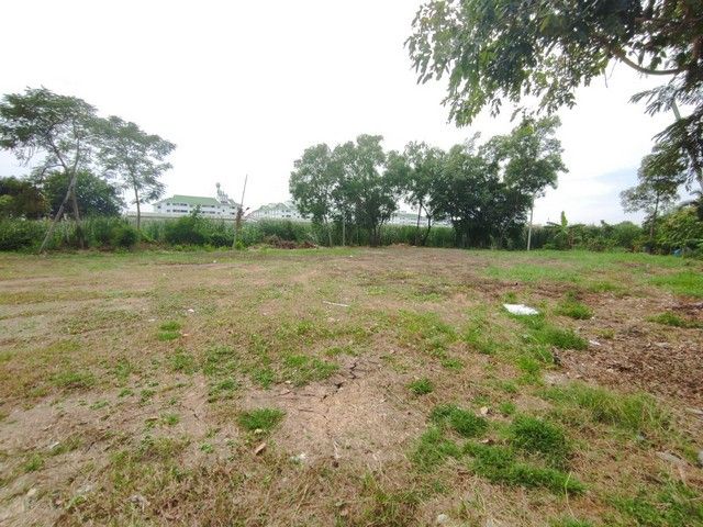 ขายที่ดิน - ขายด่วน ที่ดินถมแล้ว 1 ไร่ 50 ตรว. คลองสอง ซอยลำลูกกา 11 คูคต