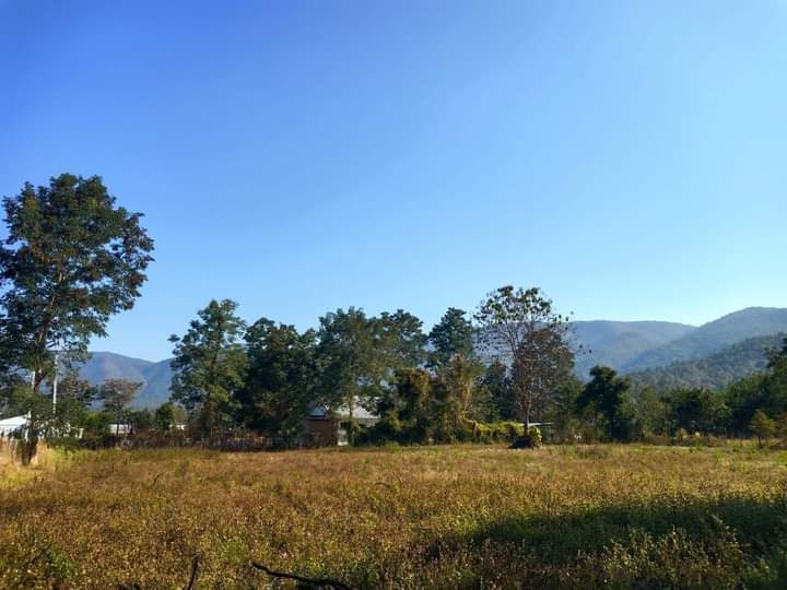 ขายที่ดิน - ขายที่ดินวิวดอยสันกำแพงแม่ออนห่างโรงพยาบาลแม่ออน 5 กม