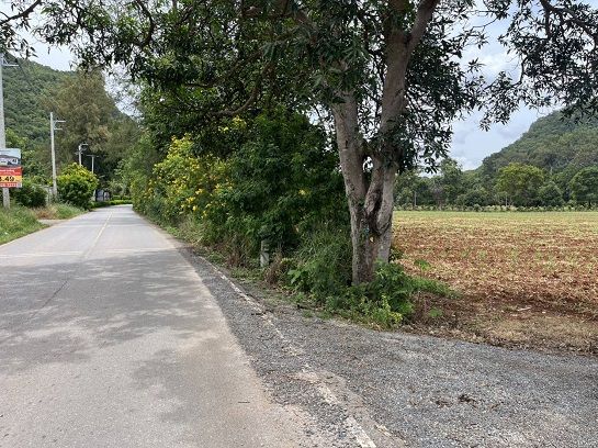 ขายที่ดิน - ขายที่ดินเขาใหญ่ ติดน้ำลำตะคอง หมูสี ท่าช้าง ใกล้ธนะรัชต์ 21 ไร่ ที่สวยมาก วิวเขาล้อมรอบ ใกล้บ่อน้ำผุดธรรมชาติใกล้ทางขึ้นอุทยานแห่งชาติเขาใหญ่