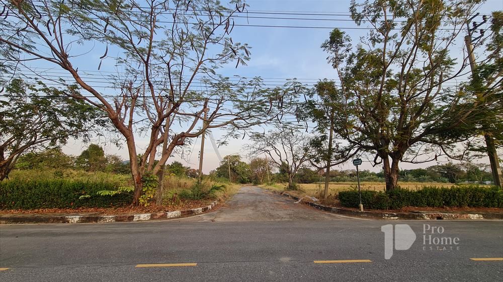 ขายที่ดิน - บางนา-ตราด ขายที่ดินหมู่บ้านกรีน วัลเล่ แปลงมุม