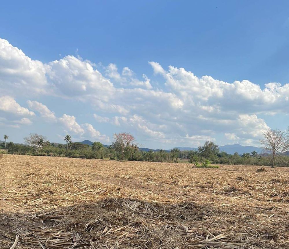 ขายที่ดิน - ขายถูกที่เขาใหญ่ เส้นธนะรัชต์ หนองน้ำแดง คลองชัย ปากช่อง 12 ไร่ วิวเขา ท้ายที่ลำราง ใกล้ธนะรัชต์ 3กม. ใกล้โรงเรียนนานาชาติ St Stephen ใกล้ถนนมิตรภาพ