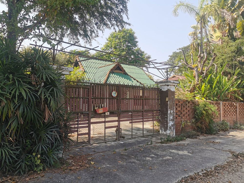 ขายที่ดิน - ขายที่ดินเชียงใหม่ ใกล้ม.แม่โจ้ ร่มรื่นเงียบสงบ 200 ตรว. 1,550,000 บาท