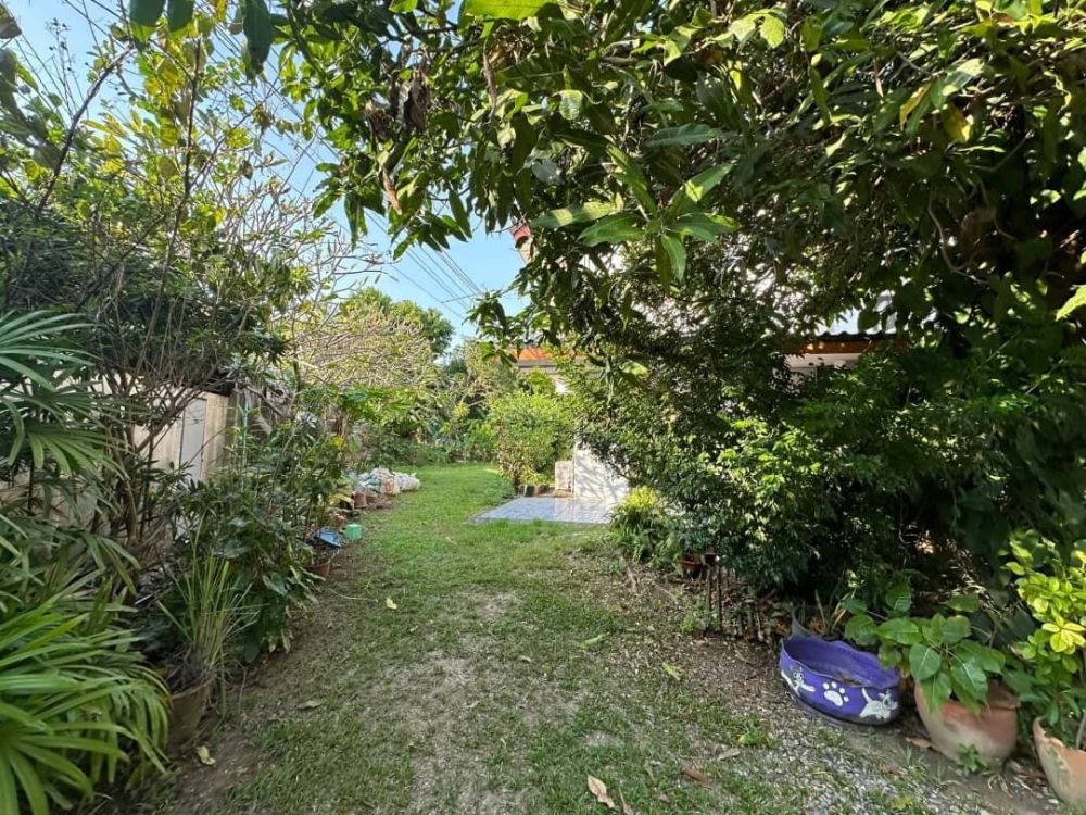 ขายที่ดิน - ขายที่ดินพร้อมสิ่งปลูกสร้าง 1-1-74 ไร่ ใกล้มหาวิทยาลัยแม่โจ้ เชียงใหม่