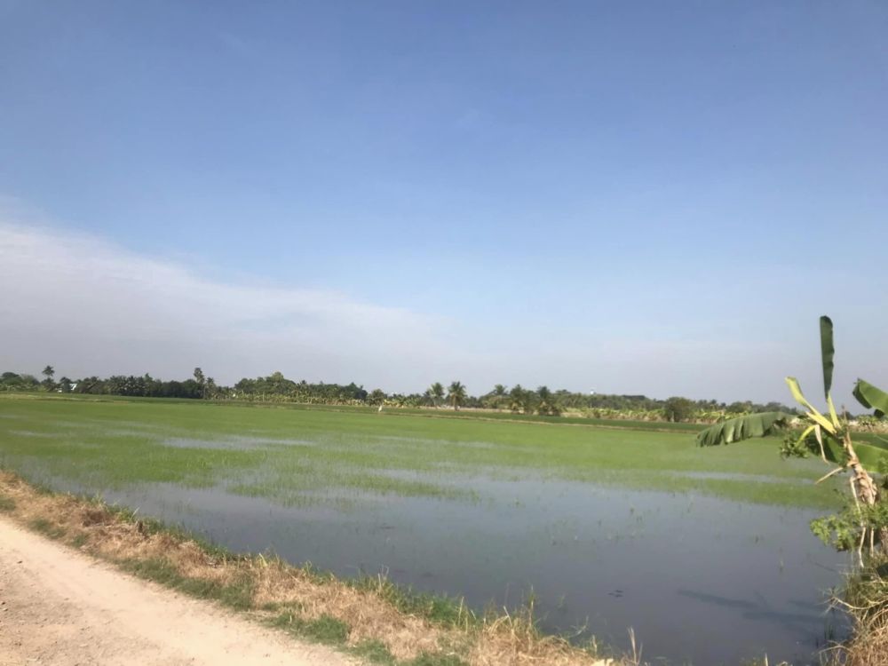 ขายที่ดิน - ขายที่ดินเปล่า15ไร่ ใกล้วัดสุขใจ ตลาดหทัยมิตร มีนบุรี ขายเพียงวาละ 6,250 บาท ต่อรองได้