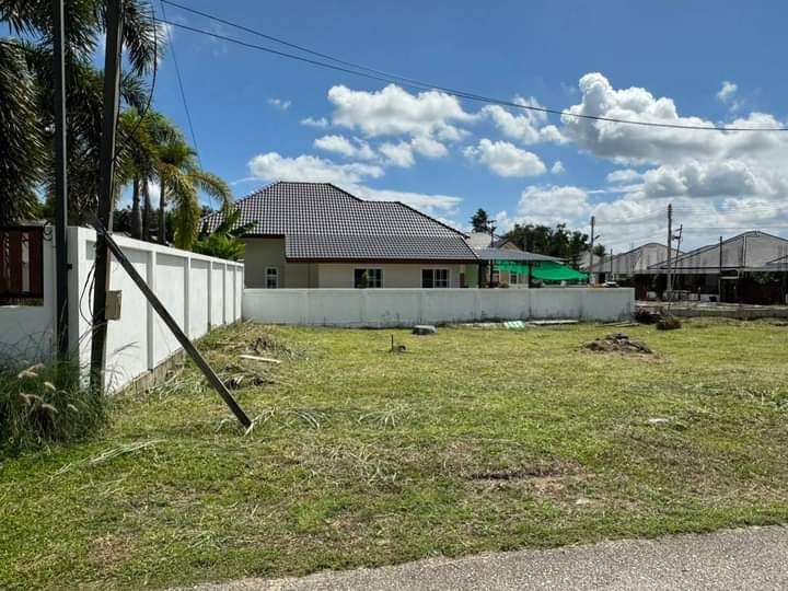 ขายที่ดิน - ขายที่ดินตำบลหนองหารสันทรายติดถนนสองด้านโฉนด