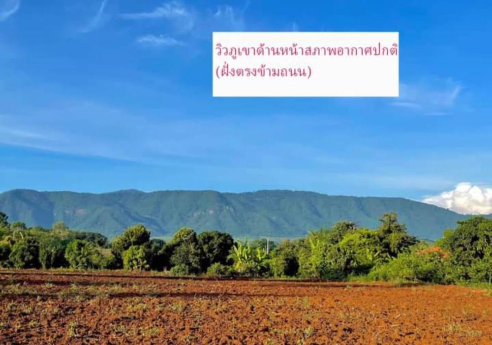 ขายที่ดิน - ขายที่ดินเขาใหญ่ 1 ไร่ หมูสี โป่งตาลอง ปากช่อง วิวเขาอุทยานแห่งชาติสวยมาก ติดถนนลาดยางเดินทางสะดวก ไม่เปลี่ยว เหมาะทำบ้านพักตากอากาศ ใกล้ทอสคาน่า