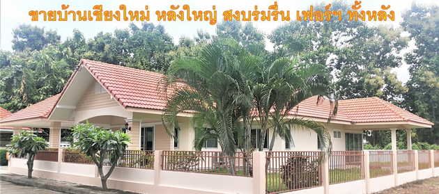 ขายบ้าน - ขายบ้านเดี่ยว 1ชั้น หลังใหญ่ เฟอร์นิเจอร์ครบครัน พร้อมอยู่ ตำบหนองผึ้ง สารภี เชียงใหม่ (เจ้าของขายเอง/ฟรีโอน)