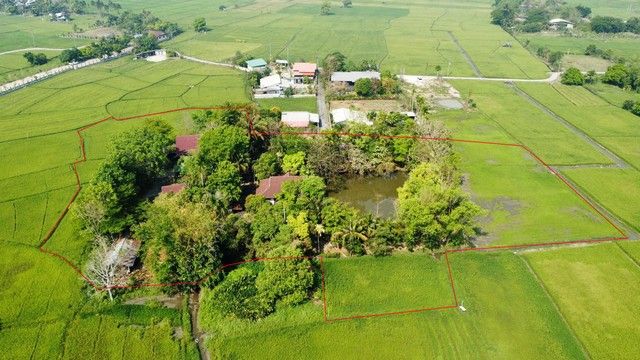 ขายอพาร์ทเม้นท์ / โรงแรม - ขายรีสอร์ทแม่ริมทำเลไม่ไกลจากถนนหลวงและตัวแม่ริมวิวทุ่งนารายล้อมราคาดี