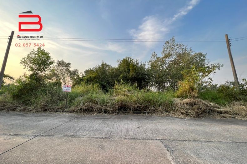 ขายที่ดิน - ที่ดินเปล่า จัดสรร ฟลอร่าวิลล์ พาร์ค ซิตี้ ซอยสุวินทวงศ์ 38 เนื้อที่ 100 ตรว.ถนนสุวินทวงศ์ เขตหนองจอก