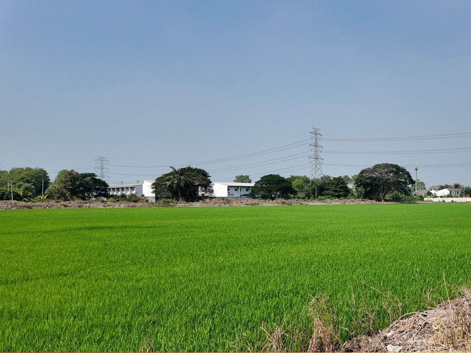 ขายที่ดิน - ขายที่ดินบางกรวย กรุงเทพ ติดบิ๊กซีซุปเปอร์เซ็นเตอร์ไทรน้อย 19 ไร่ กว่า สำหรับพัฒนา โกดัง ศูนย์กระจายสินค้า