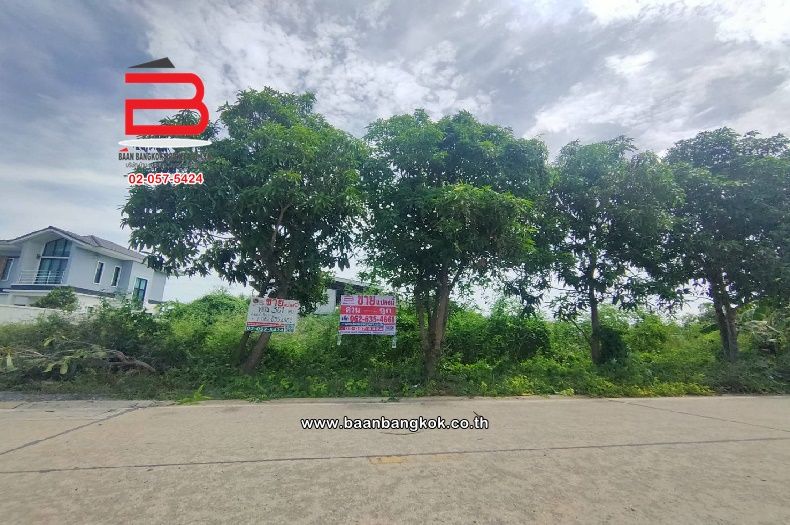 ขายที่ดิน - ที่ดินเปล่า ซอย บงกช 52 ใกล้แม็คโครคลองหลวง เนื้อที่ 301.5 ตรว ถนนพหลโยธิน อ.คลองหลวง จ.ปทุมธานี