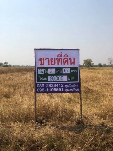 ขายที่ดิน - ขายที่ดิน 16 ไร่ 2 งาน 67 ตารางวา เจ้าของขายเอง ตำบลขามเฒ่า อำเภอโนนสูง จังหวัดนครราชสีมา