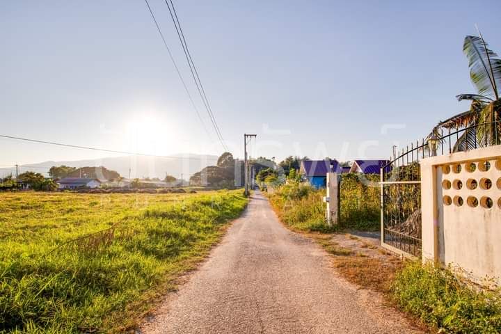 ขายอาคารพาณิชย์ / สำนักงาน - ขายอาคารสำนักงานตำบลสันผีเสื้อเขตเมืองโฉนดพร้อมโอน