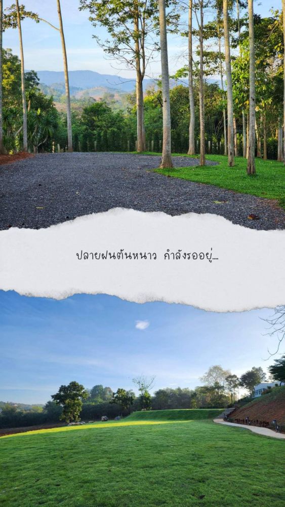 ขายที่ดิน - ด่วน ลดสุดๆ ขายกิจการรีสอร์ท โรมแรม เขาใหญ่ วังกะทะ ปากช่อง นครราชสีมา ที่ดิน 12 ไร่ วิวภูเขาสวย ใกล้เส้น 2213 ทอสคานา ดำเนินกิจการต่อได้เลย ขายด่วน