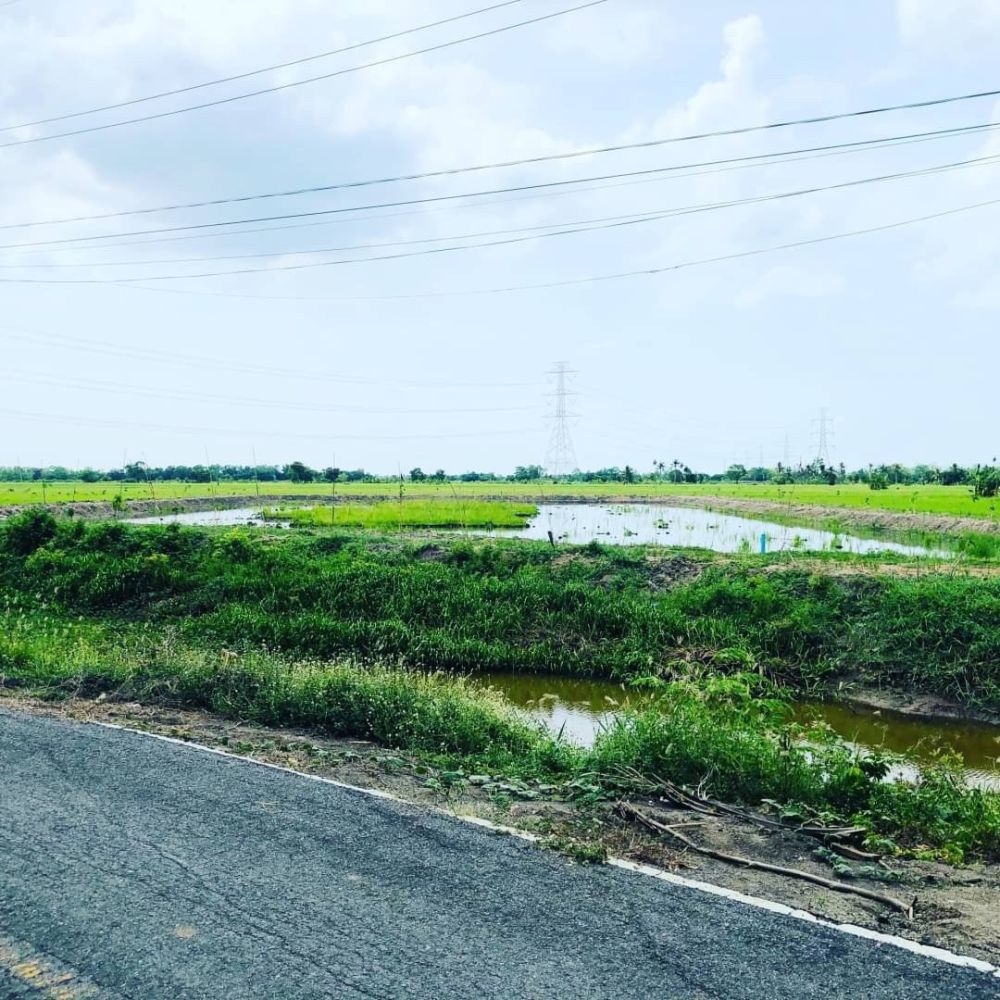 ขายที่ดิน - ขายที่ดินหนองจอก ถนนมิตรไมตรี 4ไร่ 76ตรว ที่สวยติดคลอง