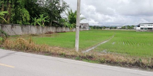 ขายที่ดิน - ขายที่ดิน 4ไร่ 16ลบ. ฟรีโอน ติดถนน น้ำประปา ไฟฟ้า บ้านป่าจี้ ต.น้ำแพร่ อ.หางดง เชียงใหม่