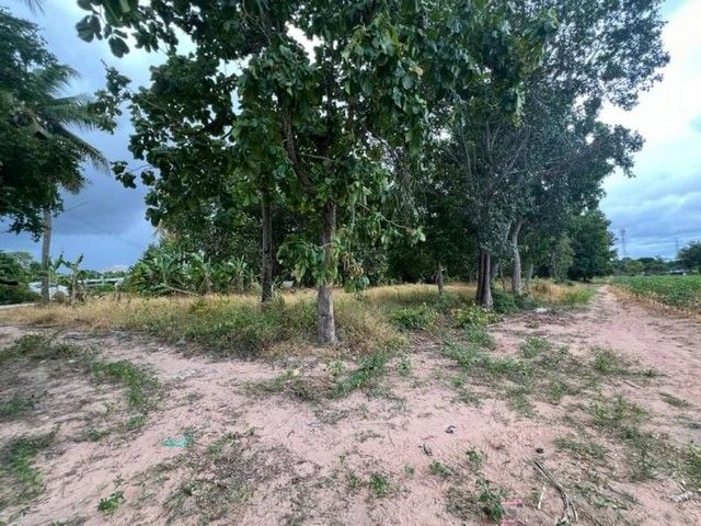 ขายที่ดิน - ขายที่ดินแปลงสวย ใจกลางเมืองศรีราชา รายล้อมโครงการหมู่บ้าน TP-L0221