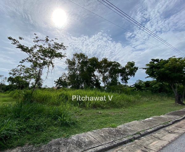 ขายที่ดิน - ขายที่ดินหมู่บ้านปัญญาบางพระ ทำเลทอง อ.ศรีราชา จ.ชลบุรี พื้นที่ 450 ตารางวา เหมาะสร้างบ้านอยู่อาศัย