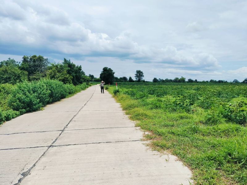 ขายที่ดิน - ที่ดินเมืองนครราชสีมา ต.ตลาด 3 ไร่ บ้านพักอาศัย ห่างจากถนนมิตรภาพ 875 ม.