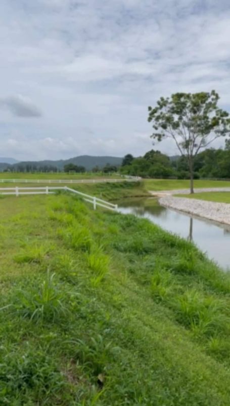 ขายที่ดิน - ขายที่ติดน้ำ เขาใหญ่ 1 ไร่ วิวเขาสวย อยู่ซอยกำนันโจ้ หนองสาหร่าย ขนงพระ ปากช่อง ใกล้ธนะรัชต์ 12 กม. ใกล้เส้น 2235 เพียง 5.6 กม. ใกล้ตลาด ร้านค้า