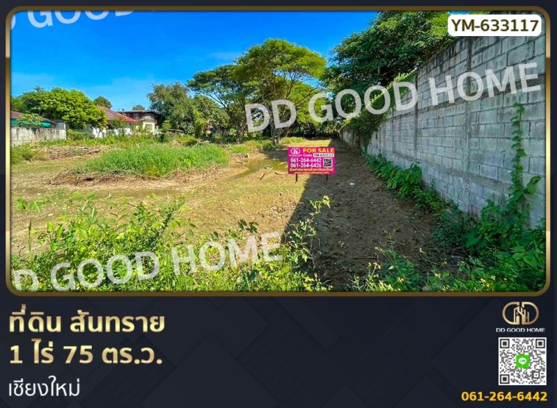 ขายที่ดิน - ที่ดิน สันทราย 1 ไร่ 75 ตร.ว. เชียงใหม่ ใกล้วัดกู่ม่านมงคลชัย