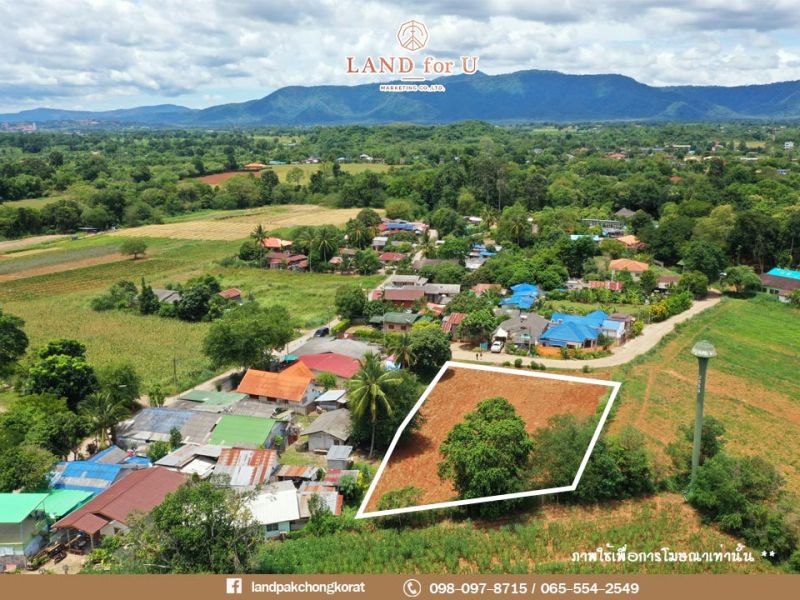 ขายที่ดิน - ขายที่ดินเขาใหญ่ ติดถนน บรรยากาศดี ใกล้แหล่งท่องเที่ยวมากมาย