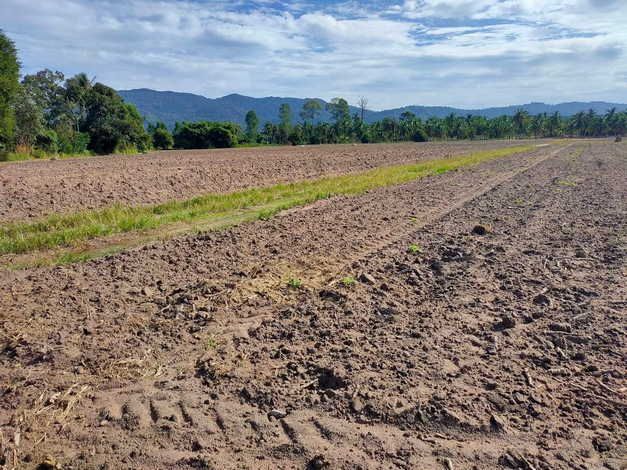 ขายที่ดิน - ขายที่ดินเปล่า อากาศดี วิวภูเขา อำเภอศรีราชา จังหวัดชลบุรี (เจ้าของขายเอง)