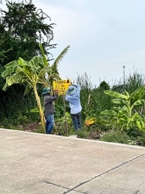 ขายที่ดิน - ขายด่วน ที่ดินคลองหลวง 102 ตารางวา ติดถนนคอนกรีตสาธารณะ ซอยคลองสาม 10/15