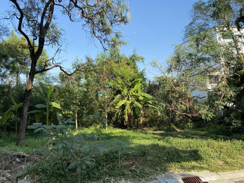 ขายที่ดิน - ขายที่ดินสุขุมวิท 60-121 ตร.ว วชิรธรรมสาธิต อุดมสุข แปลงสวย สภาพแวดล้อมดี ใกล้รถไฟฟ้า BTS ปุณณวิถี ใกล้ซีคอน เซ็นทรัลบางนา sukhumvit land sale