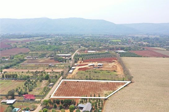 ขายที่ดิน - ขายที่ดินเขาใหญ่ ปากช่อง วิวเขาล้อมรอบ ติดถนน จ.นครราชสีมา