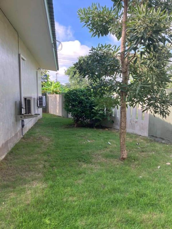 ขายโรงงาน / โกดัง - ขายโกดังติดถนนเลียบรถไฟสารภีทำเลดีโฉนดพร้อมโอน