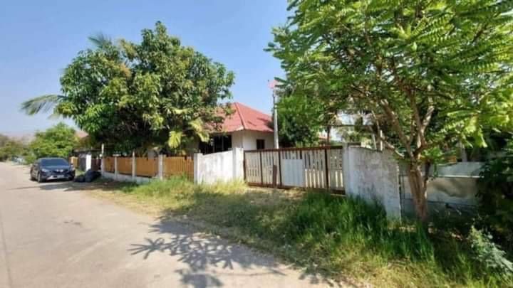 ขายที่ดิน - ขายที่ดินบ้านหนองโค้งต้นเปาสันกำแพงติดถนนถมดินเรียบร้อยพร้อมโอน