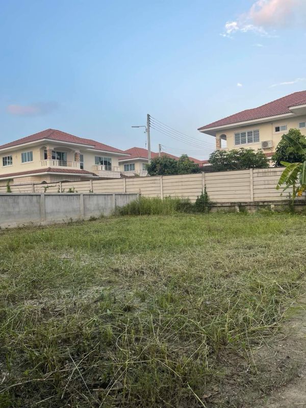 ขายที่ดิน - ขายที่ดินตำบลต้นเปาสันกำแพงบ้านหนองโค้งโฉนดพร้อมโอน