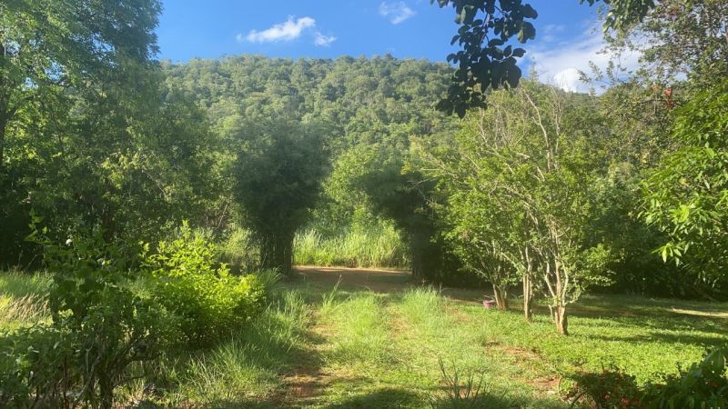 ขายที่ดิน - ขายที่ดิน วิวภูเขา ต.หนองน้ำแดง อ.ปากช่อง 2 ไร่ 7.9 ล้านบาท