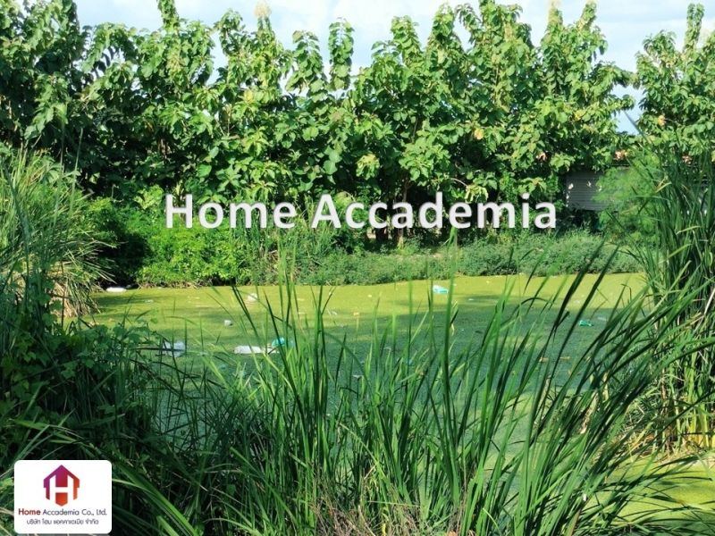 ขายที่ดิน - ขายที่ดิน 2 ไร่ ร่วมมิตรพัฒนา แยก 6 ใกล้ TOP และเซเว่น ทำเลดี