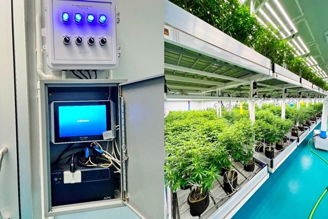 ให้เช่าโรงงาน / โกดัง - ติดถนนใหญ่ โลตัสโกเฟรชวาปีปทุม 1.6 กม.วัดกลางมหาสารคาม 1.5 กม. ฟาร์มกัญชาในร่ม พื้นที่เพาะปลูก 200 ตร.วา.675 ตร.ม.2นอน 2น้ำ ให้เช่า 3แอร์