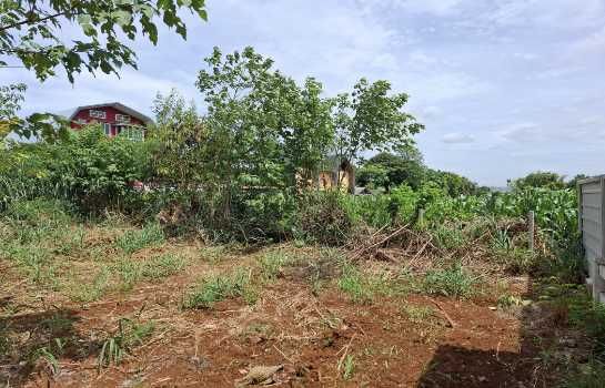 ขายที่ดิน - ขายที่ดิน แปลงสวยบนเนิน วิวเขาใหญ่ สภาพแวดล้อมดีมาก จ.นครราชสีมา