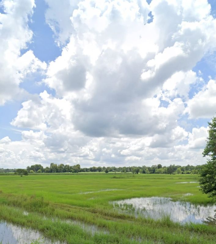 ขายที่ดิน - ขายที่ดินในตัวอำเภอจักราชติดถนนน้ำไฟเข้าถึง