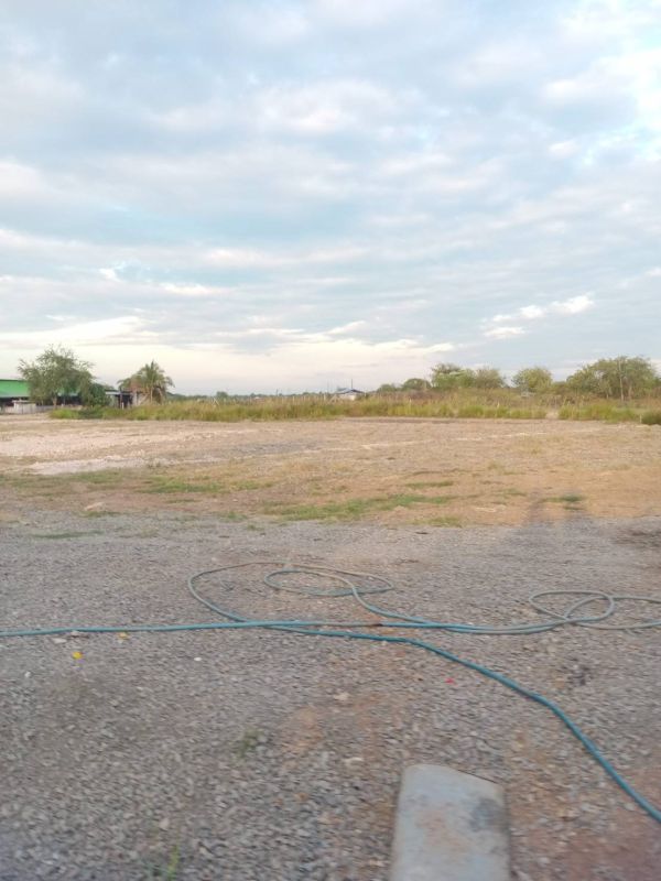 ขายที่ดิน - ขาย ที่ดิน เปล่า 200 ตารางวา มี ทั้งหมด 4 ไร่ จัดสรรแล้ว