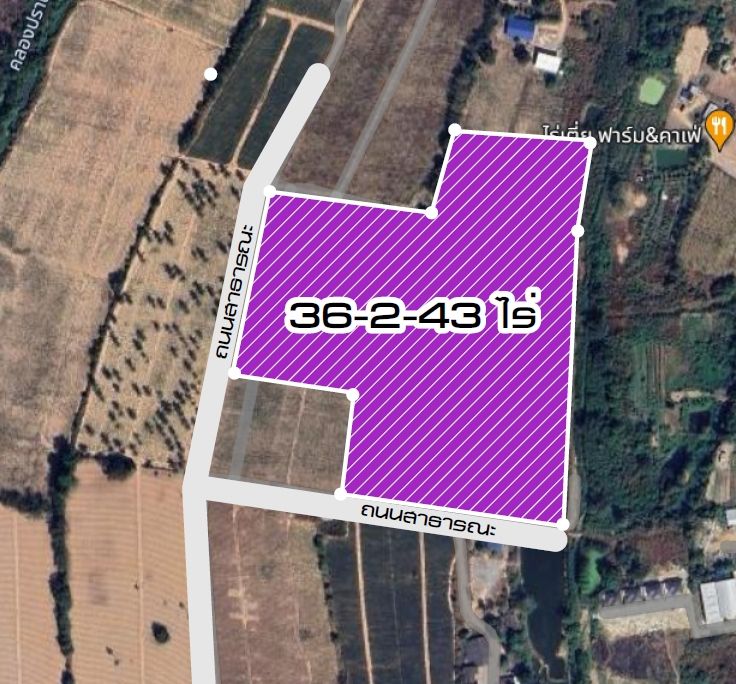 ขายที่ดิน - ขายที่ดินห้วยปราบ-มาบยางพรสีม่วงลาย 36 ไร่ ใกล้นิคมWHA-10กม. ใกล้โรบินสันบ่อวิน-7กม. จ.ระยอง