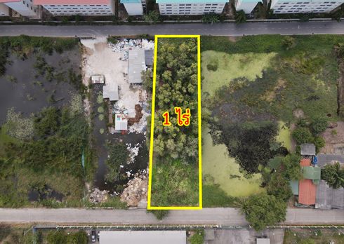 ขายที่ดิน - ขายที่ดิน ซอยเทพกุญชร 34-35 ตลาดไท คลองหลวง ปทุมธานี