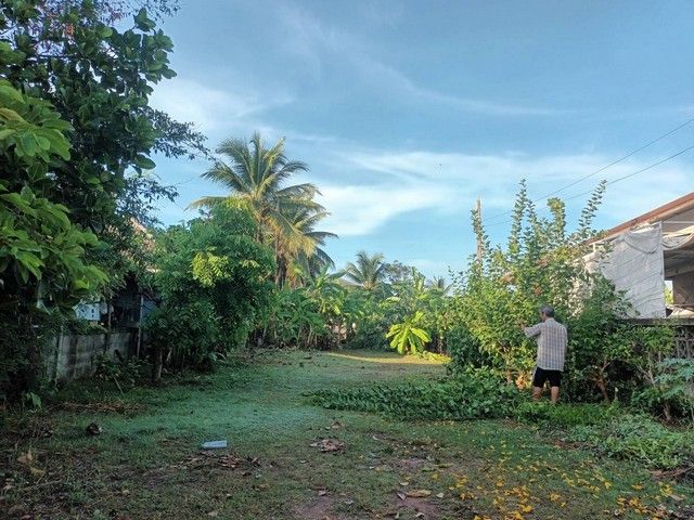 ขายที่ดิน - ขายที่ดิน 1 ไร่ 1 งาน 70 ตร.ว. ต.สูงเนิน อ.สูงเนิน จ.นครราชสีมา ทำเลดี ใกล้แหล่งชุมชน บรรยากาศสงบ เหมาะแก่การลงทุน!