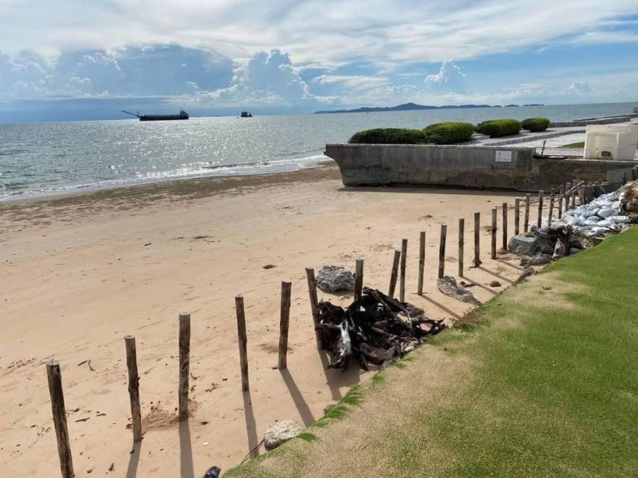 ขายที่ดิน - ขายที่ดินติดทะเล นาจอมเทียน พัทยา, ชลบุรี - เนื้อที่ 8 -3-25 ไร่ - หน้ากว้างด้านทะเล 55 เมตร