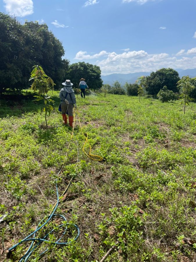 ขายที่ดิน - ขายที่ดินวิวพาโนรามา 360 บนเนินเขา ต.เขื่อนผาก อ.พร้าว จ.เชียงใหม่