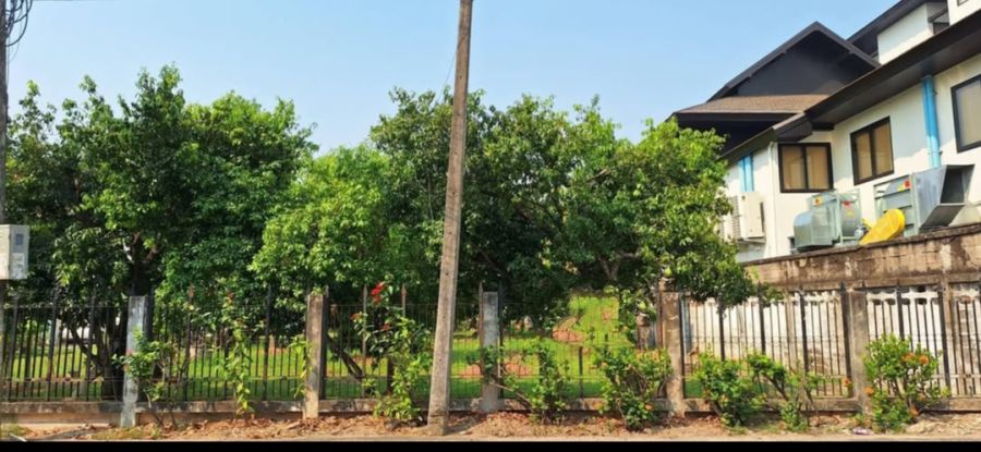 ขายที่ดิน - ขายที่ดินตำบลช้างเผือกโชตนาห่างถนนหลักเพียง 350 เมตร