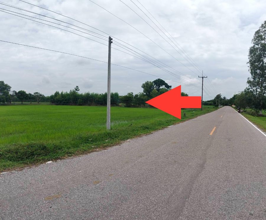 ขายที่ดิน - ด่วน! ที่นา 33 ไร่ บ้านส้มโฮง ทำเลดี ราคาสุดคุ้ม! 180,000 บาท/ไร่